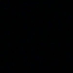 Meet your Posher, Antonio